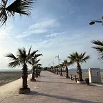 Palm Paradise