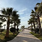 Palm Paradise