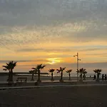 Palm Paradise *