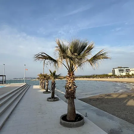 Palm Paradise * Golem (Tirana)