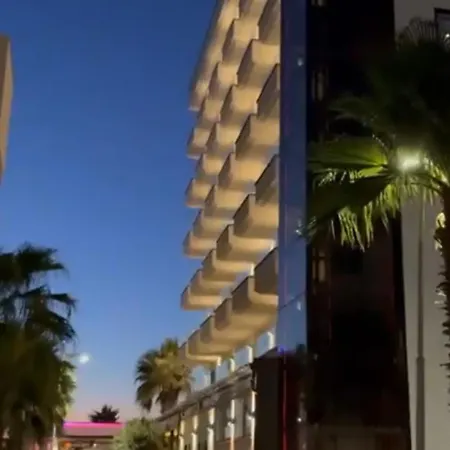 Palm Paradise