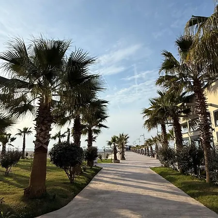 Palm Paradise