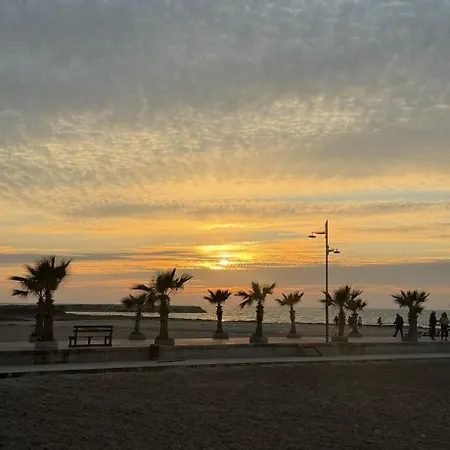 Palm Paradise *